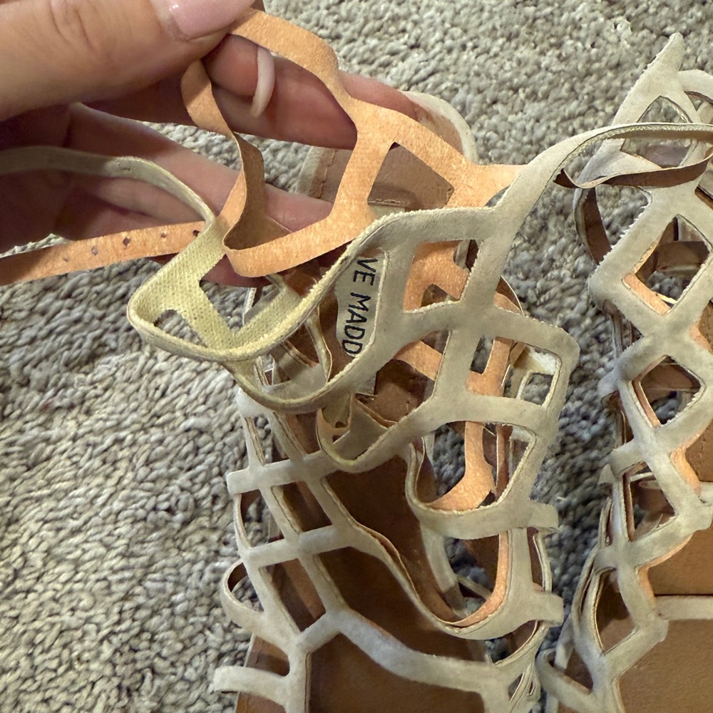 Steve Madden Women's Heels